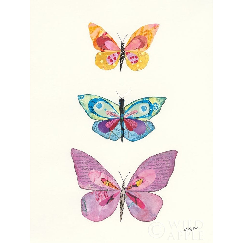 Butterfly Charts III Poster Print by Courtney Prahl-VARPDX46885 Image 1