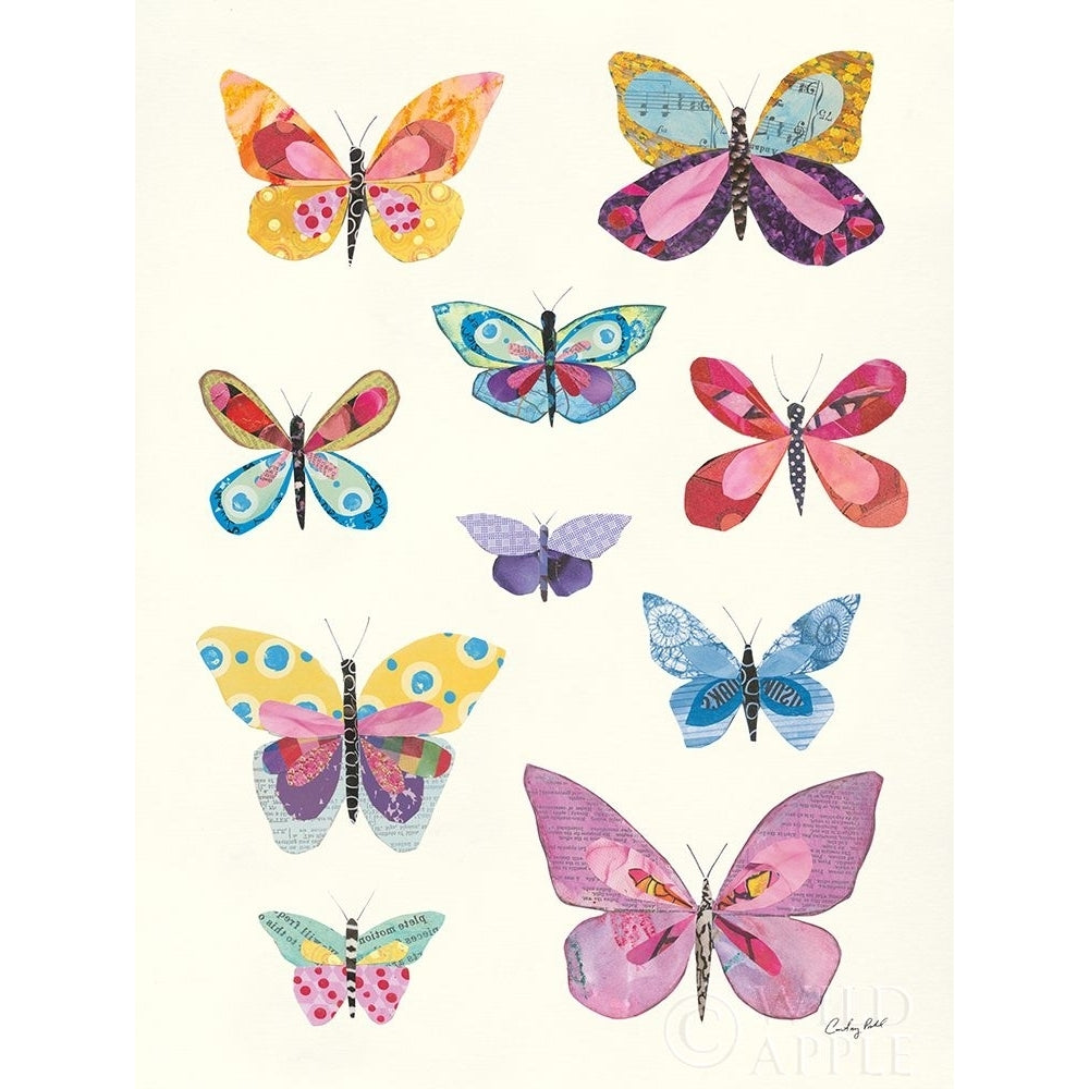 Butterfly Charts II Poster Print by Courtney Prahl-VARPDX46884 Image 1