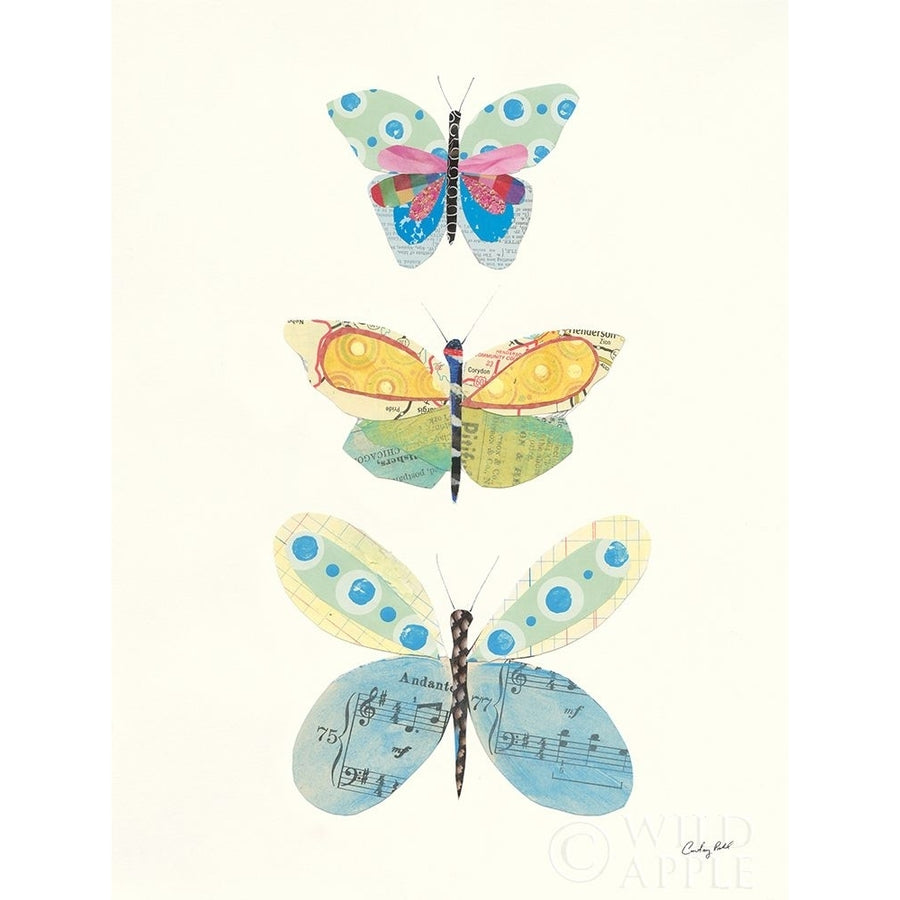 Butterfly Charts IV Poster Print by Courtney Prahl-VARPDX46886 Image 1