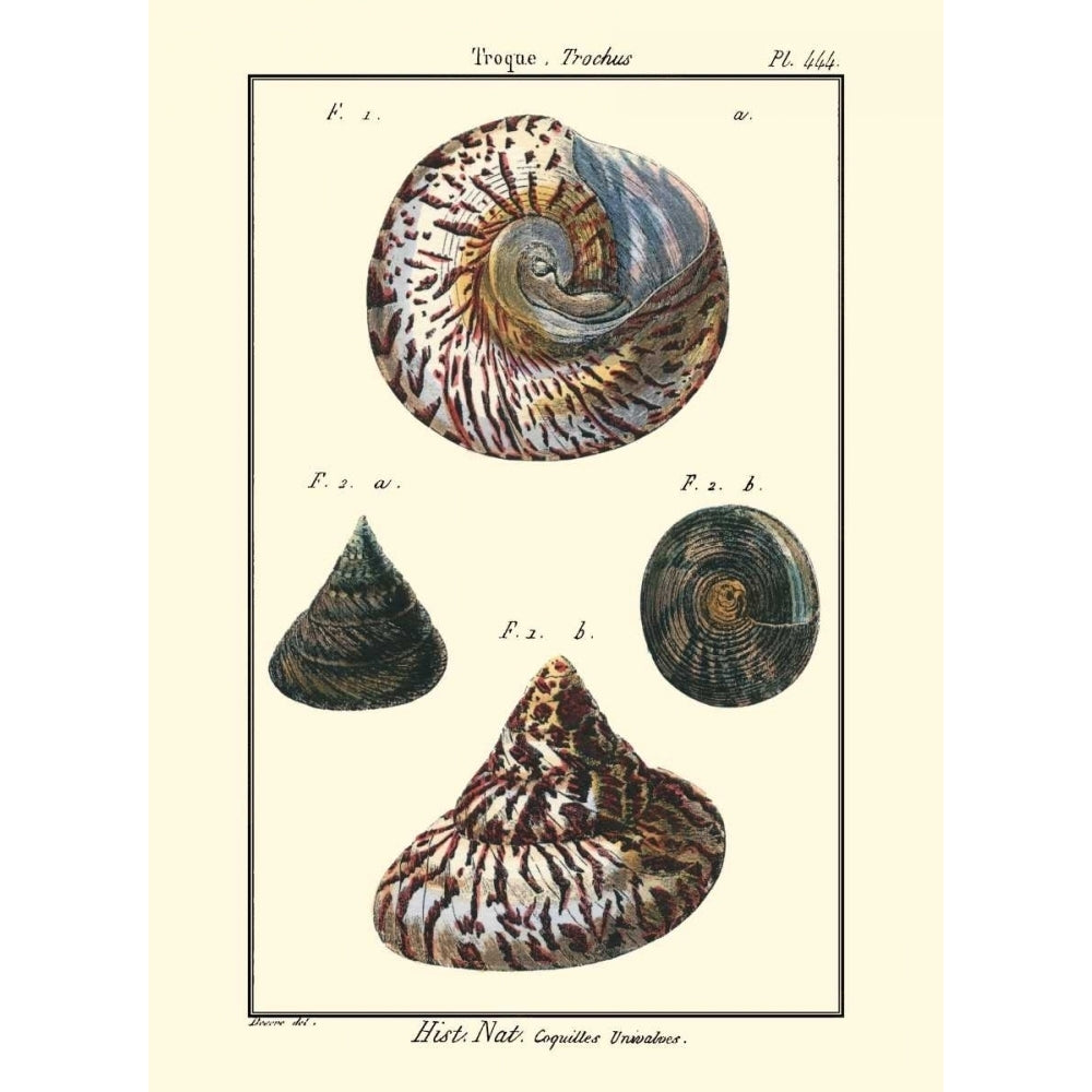 Sea Shells II Poster Print - Denis Diderot-VARPDX46929D Image 1