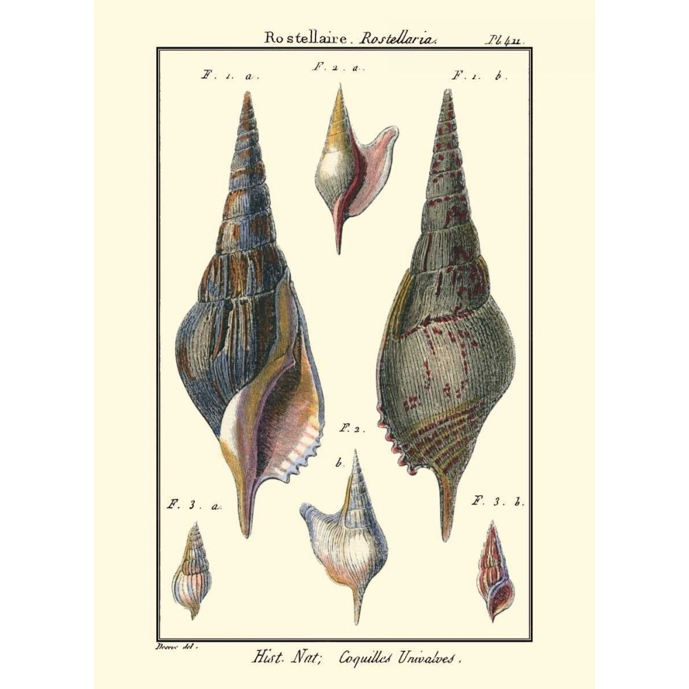 Sea Shells III Poster Print - Denis Diderot-VARPDX46930D Image 1