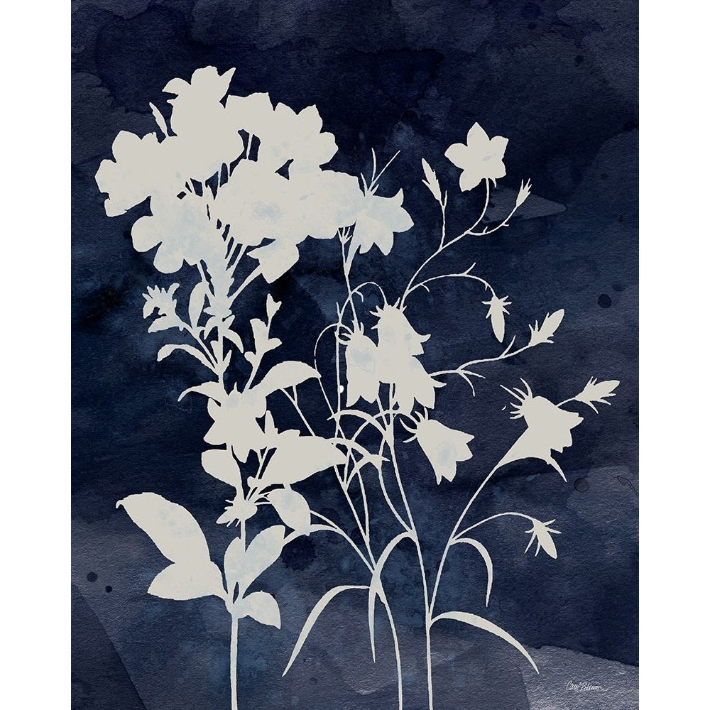 Indigo Botanical II Revisited Poster Print - Carol Robinson-VARPDX47116 Image 1