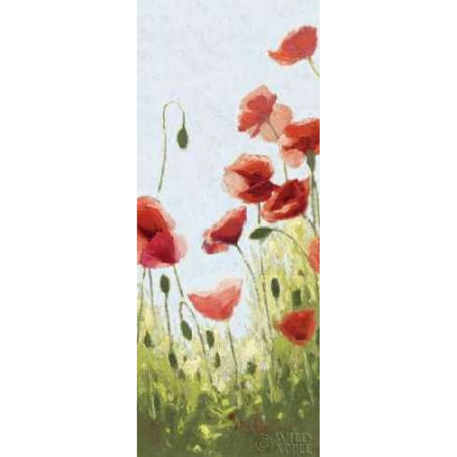 Mountain Poppies II - Wag Poster Print by Shirley Novak-VARPDX4728 Image 1