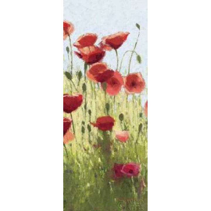 Mountain Poppies I - Wag Poster Print by Shirley Novak-VARPDX4727 Image 2