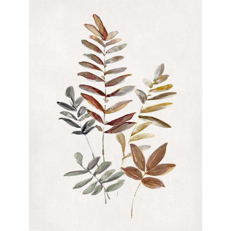 Autumn Leaves I Poster Print - Sally Swatland-VARPDX47449 Image 1