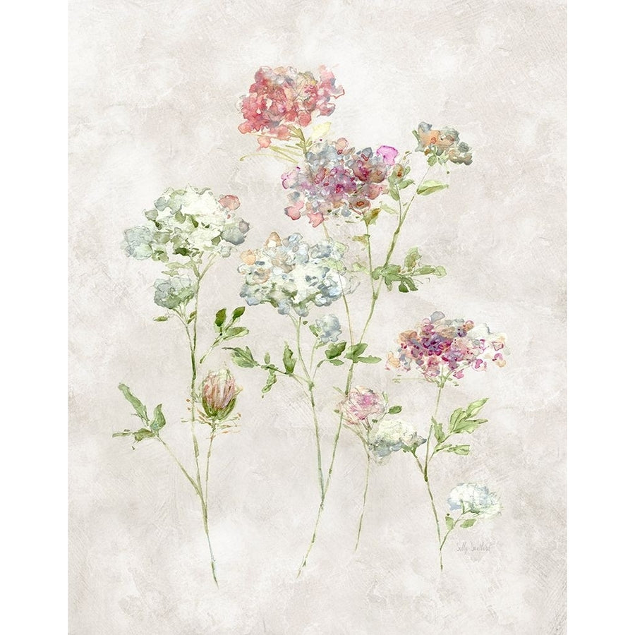 Soft Lace I Poster Print - Sally Swatland-VARPDX47476 Image 1