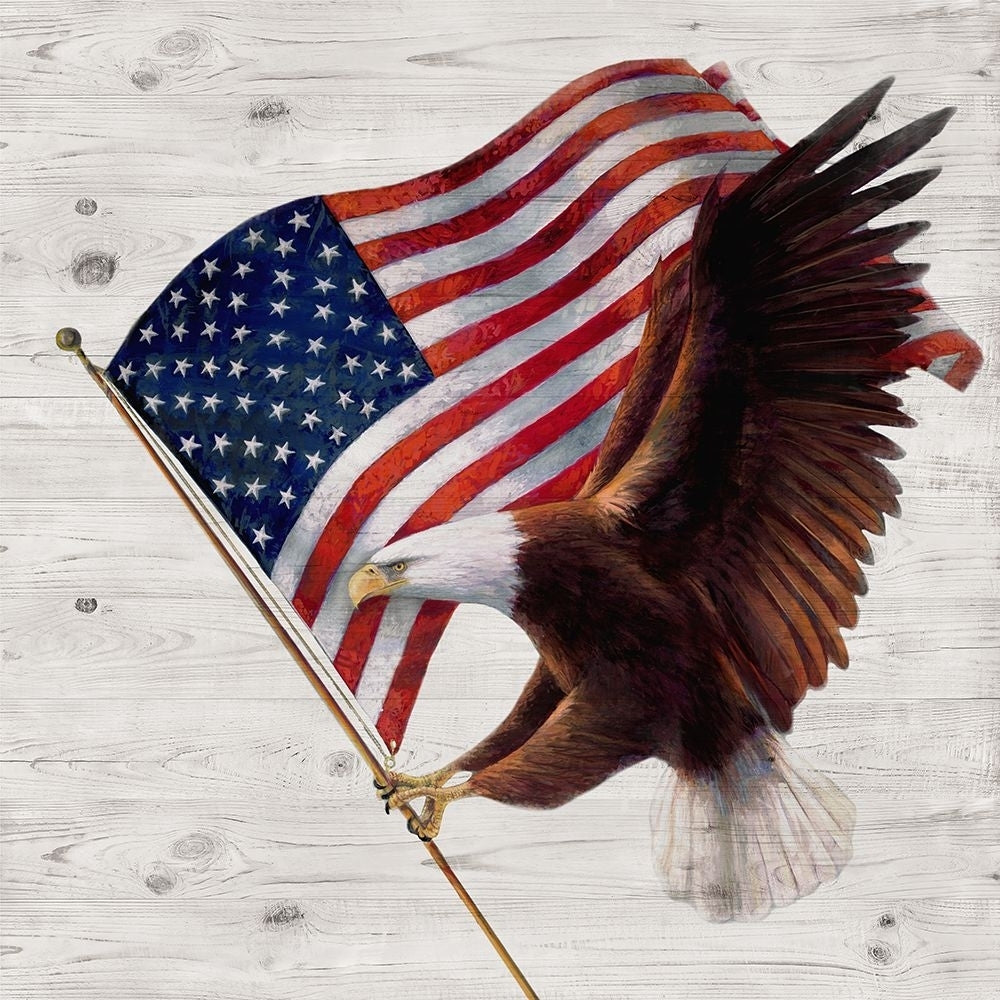 Patriotic Eagle Poster Print - Ruane Manning-VARPDX47602 Image 1