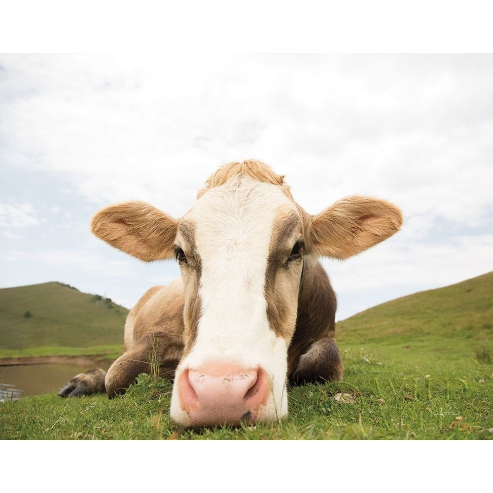 Close Up I v2 no Cows Crop Poster Print by Aledanda Aledanda-VARPDX47620 Image 1