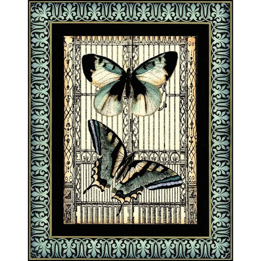 Small Butterfly Fancy I Poster Print - Studio Vision-VARPDX47658D Image 1