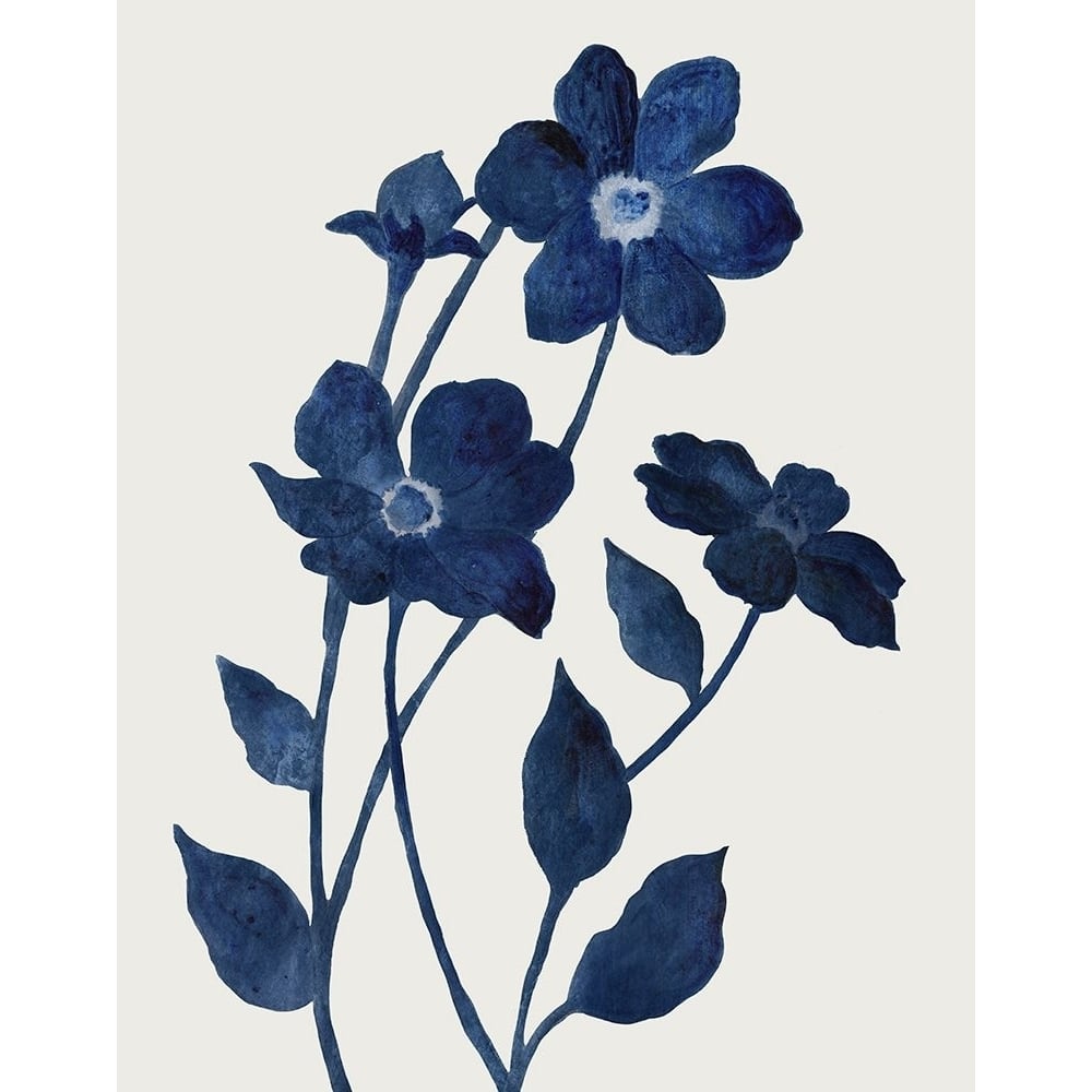 Indigo Bloom II Poster Print - Studios Tava-VARPDX47664 Image 1