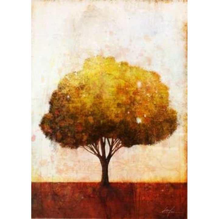 Autumnal Tree 1 Poster Print by Ken Roko-VARPDX476ROK1021 Image 2