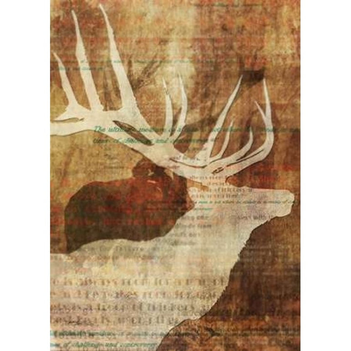 Stag Story 1 Poster Print by Ken Roko-VARPDX476ROK1041 Image 2