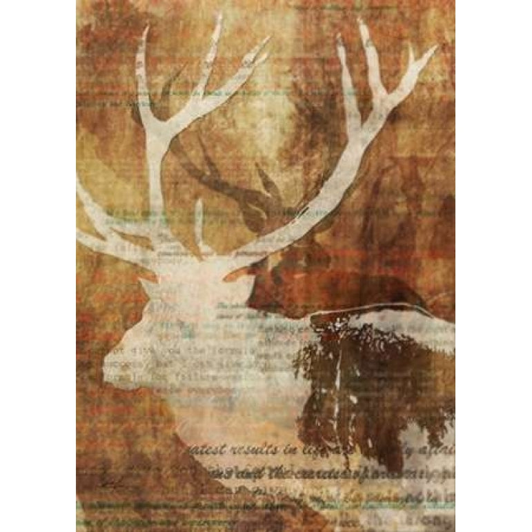 Stag Story 2 Poster Print by Ken Roko-VARPDX476ROK1042 Image 2