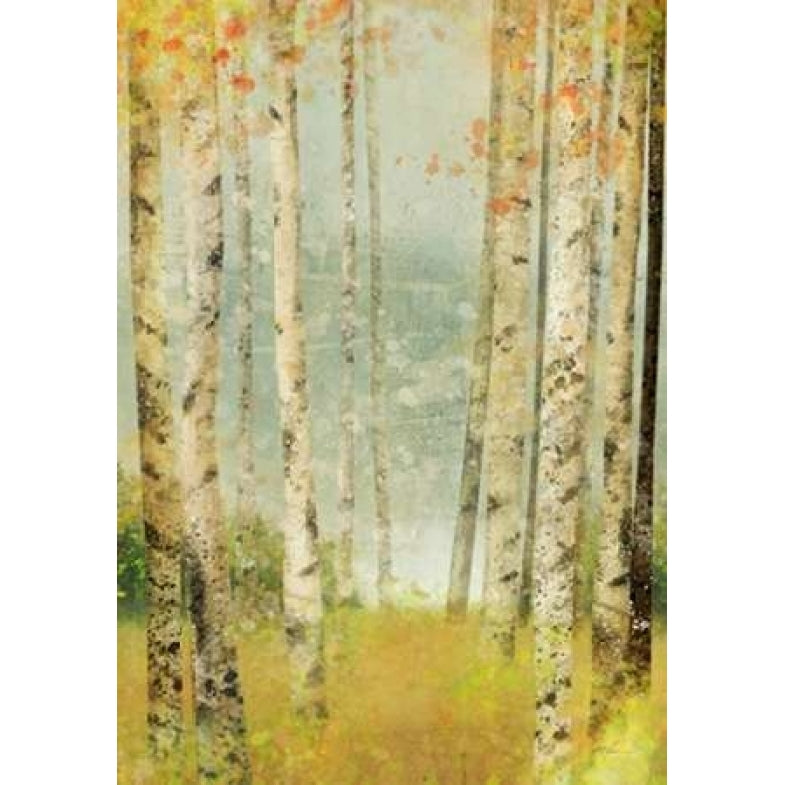 Yellow Birch 1 Poster Print by Ken Roko-VARPDX476ROK1101 Image 1