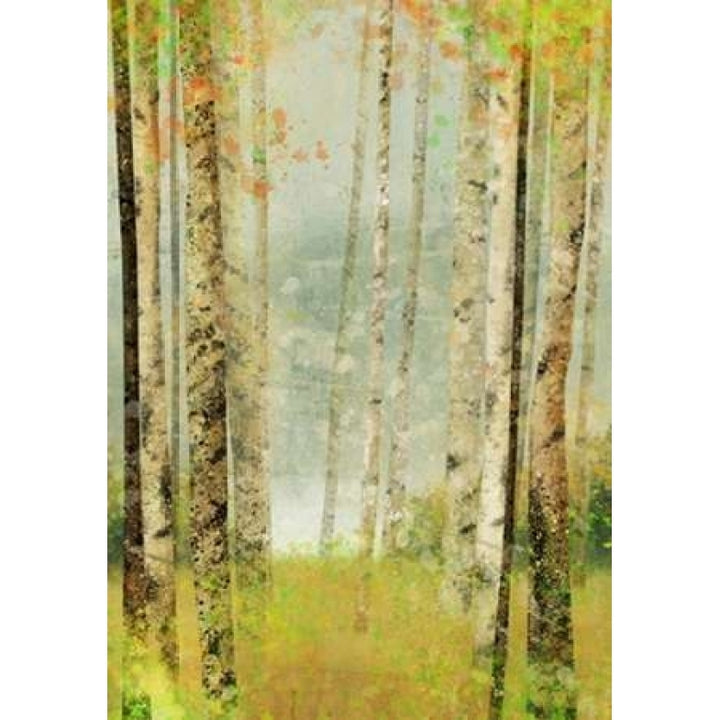 Yellow Birch 2 Poster Print by Ken Roko-VARPDX476ROK1102 Image 1