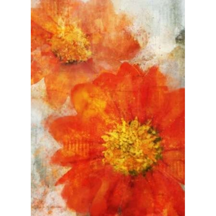 Tithonia Bloom 1 Poster Print by Ken Roko-VARPDX476ROK1113 Image 1