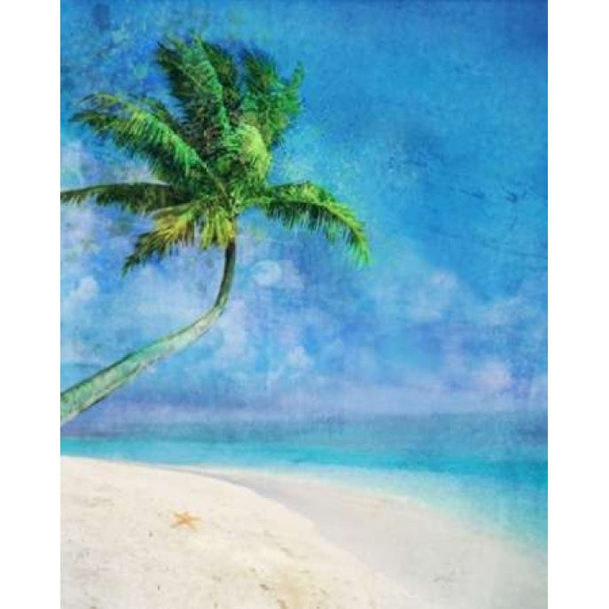 Palm Beach and Starfish Poster Print by Ken Roko-VARPDX476ROK1111 Image 1