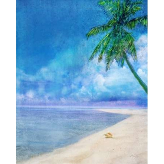 Palm Beach and Shell Poster Print by Ken Roko-VARPDX476ROK1112 Image 1