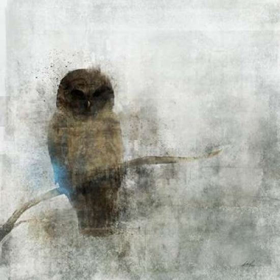 Guardian Owl Poster Print by Ken Roko-VARPDX476ROK1121 Image 2