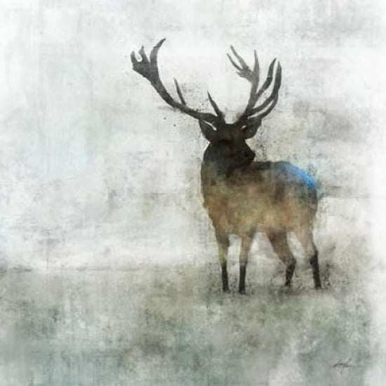 Silent Stag Poster Print by Ken Roko-VARPDX476ROK1124 Image 1