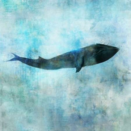 Ocean Whale 1 Poster Print by Ken Roko-VARPDX476ROK1129 Image 1