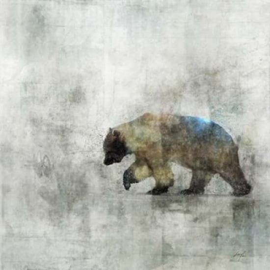 Bear Spring Poster Print by Ken Roko-VARPDX476ROK1127 Image 1