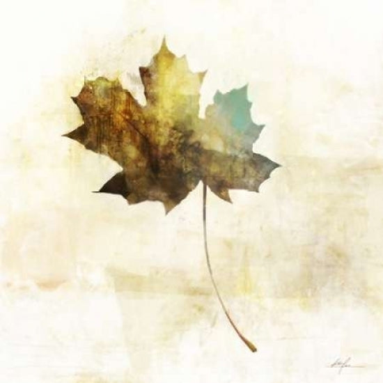 Falling Maple Leaf 2 Poster Print by Ken Roko-VARPDX476ROK1154 Image 2