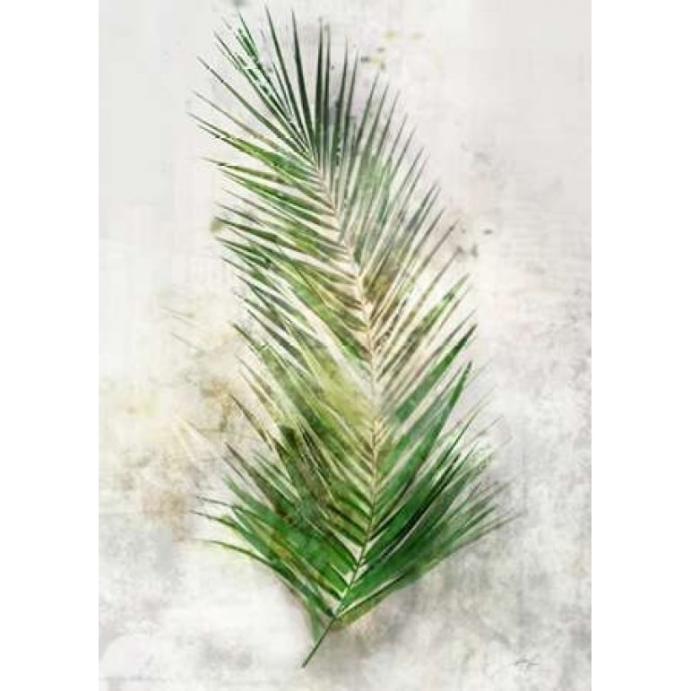 Textured Areca Palm Poster Print by Ken Roko-VARPDX476ROK1175 Image 2