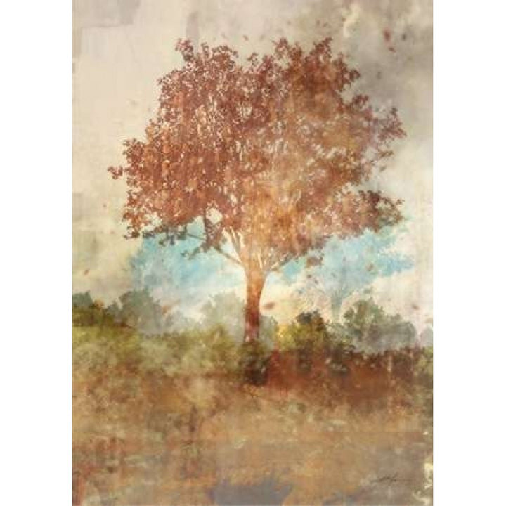 Sun Dappled Tree Poster Print by Ken Roko-VARPDX476ROK1183 Image 1