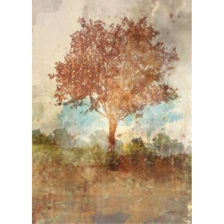 Sun Dappled Tree Poster Print by Ken Roko-VARPDX476ROK1183 Image 2