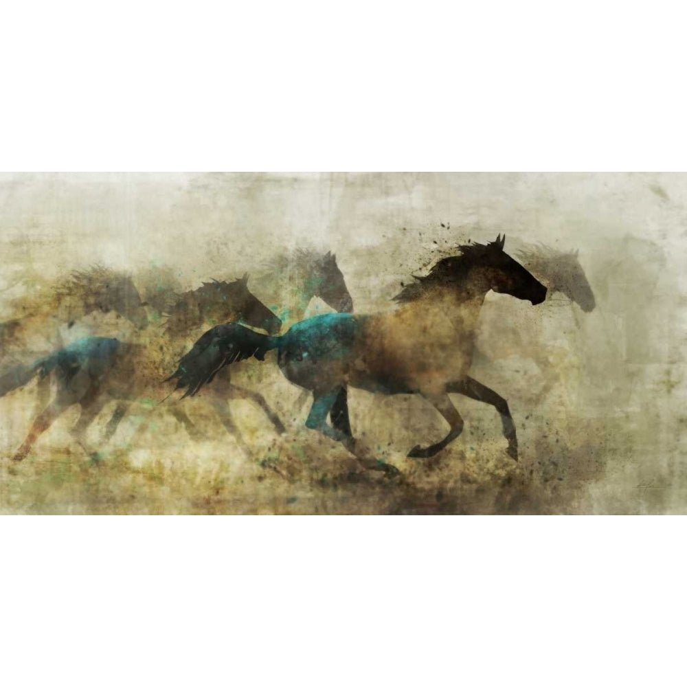 Horses Wild And Free Poster Print by Ken Roko-VARPDX476ROK1195 Image 2