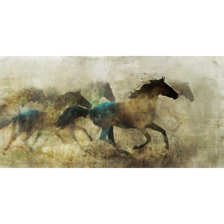 Horses Wild And Free Poster Print by Ken Roko-VARPDX476ROK1195 Image 1