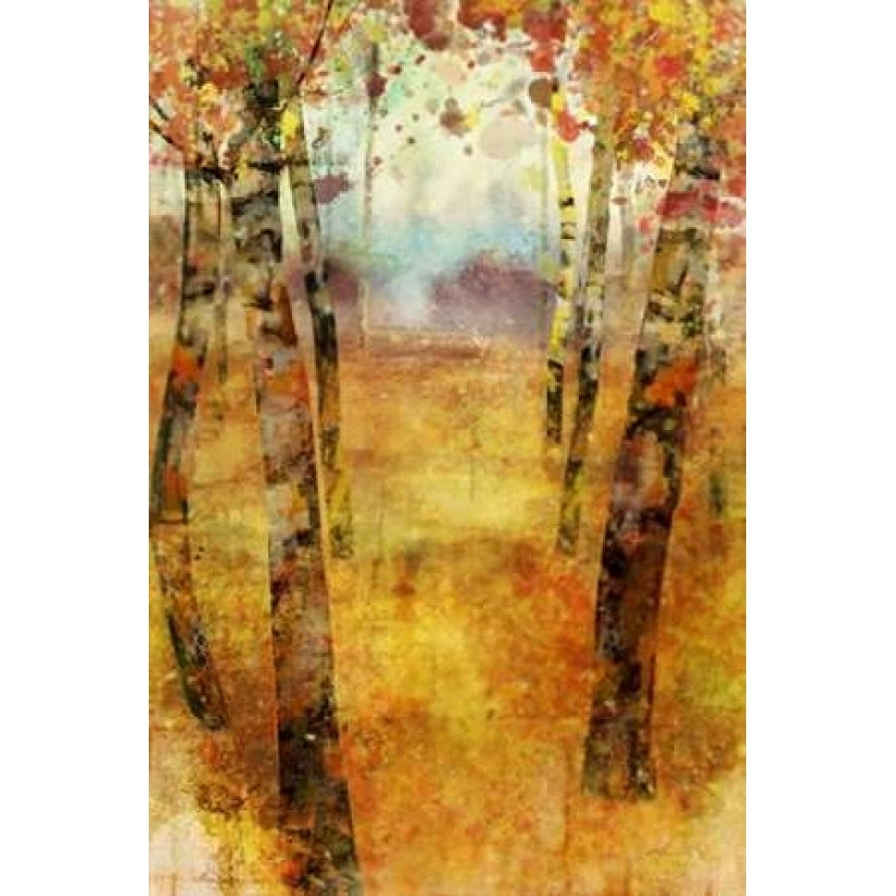 Splashes of Fall Poster Print by Ken Roko-VARPDX476ROK1177 Image 1