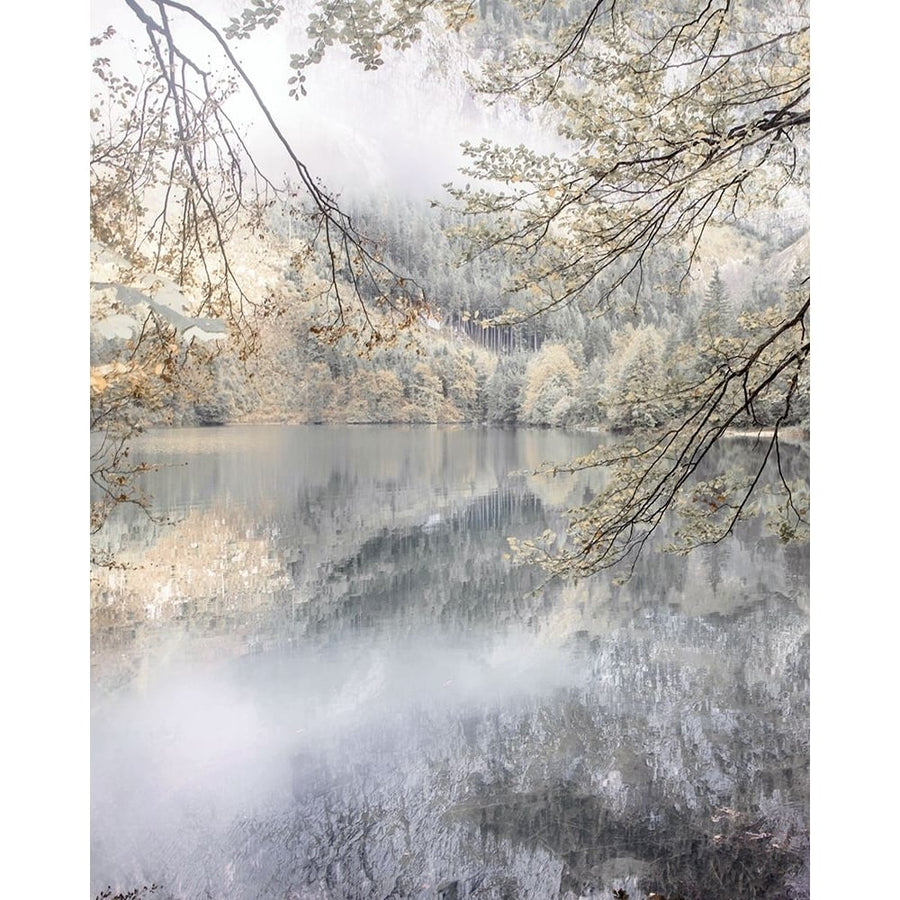 Misty Lake Poster Print - Irene Weisz-VARPDX47747 Image 1