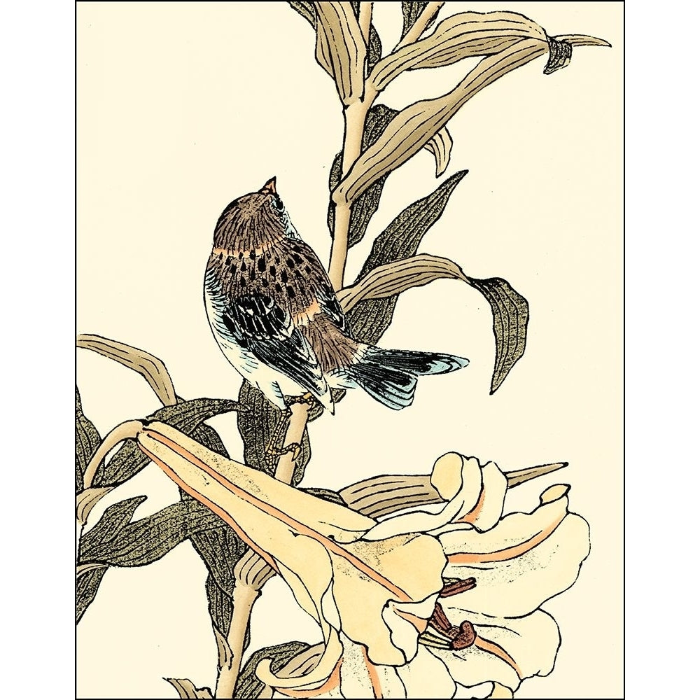 Oriental Bird on Branch II Poster Print - Studio Vision-VARPDX47891D Image 1