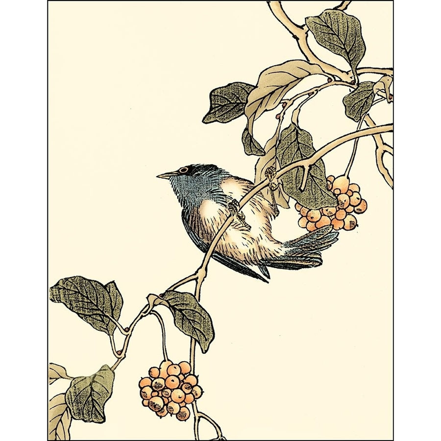 Oriental Bird on Branch III Poster Print - Studio Vision-VARPDX47892D Image 1