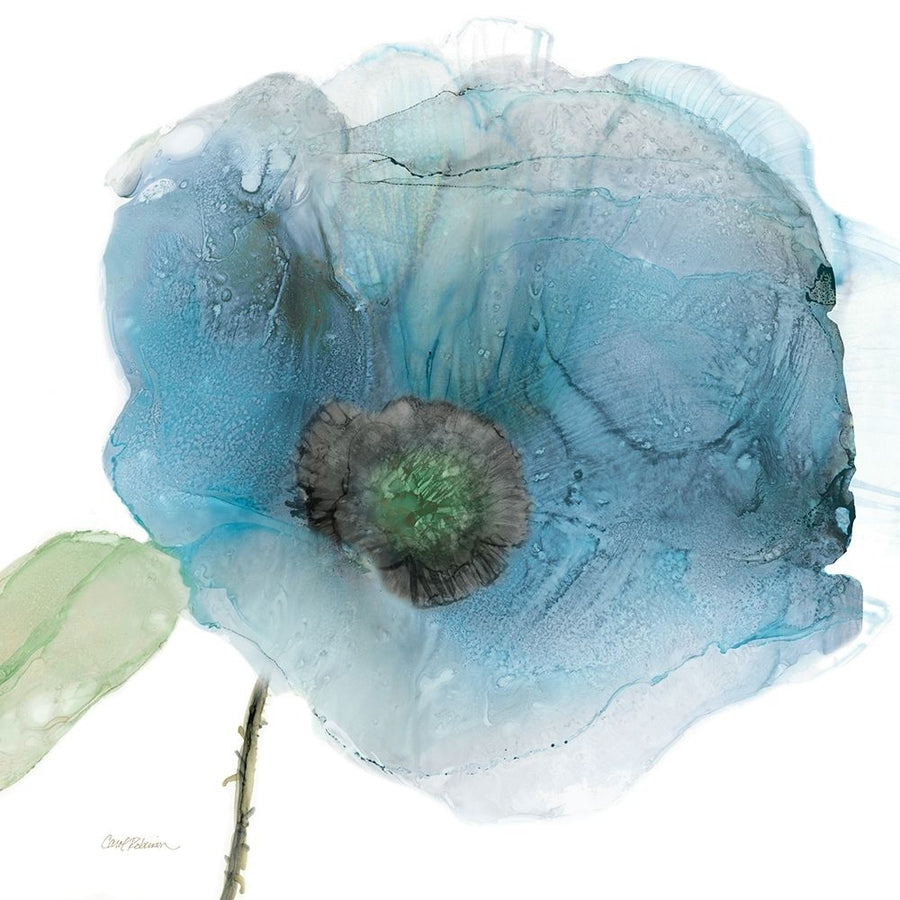 Iridescent Blue Poppy III Poster Print - Carol Robinson-VARPDX47914 Image 1