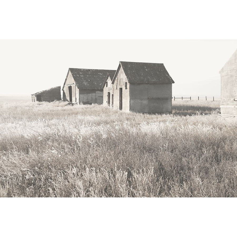 Neutral Barn Poster Print - Carol Robinson-VARPDX47919 Image 1