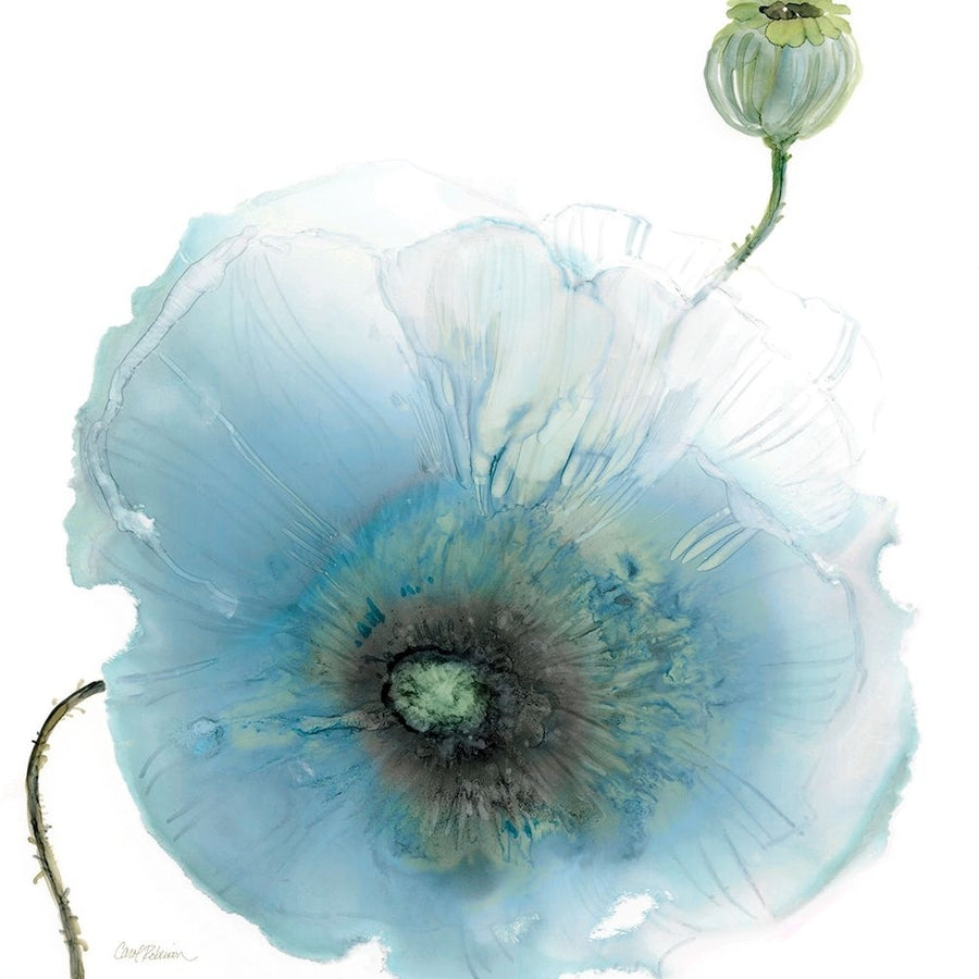 Iridescent Blue Poppy I Poster Print - Carol Robinson-VARPDX47912 Image 1