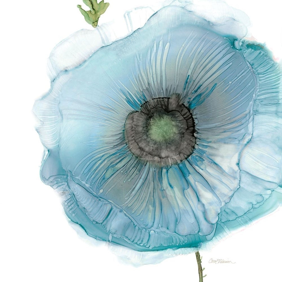 Iridescent Blue Poppy II Poster Print - Carol Robinson-VARPDX47913 Image 1