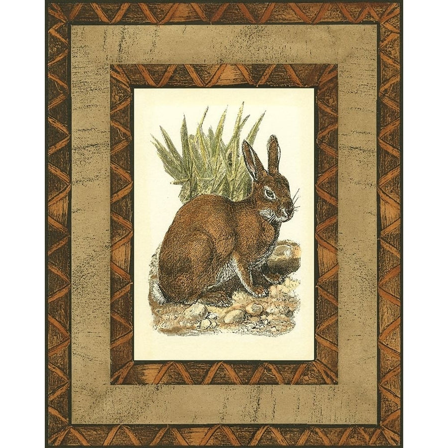 Custom Rustic Rabbit-VARPDX47929D Image 1