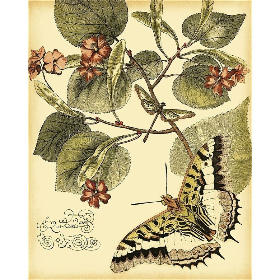 Mini Whimsical Butterflies I Poster Print - Studio Vision-VARPDX47956D Image 1