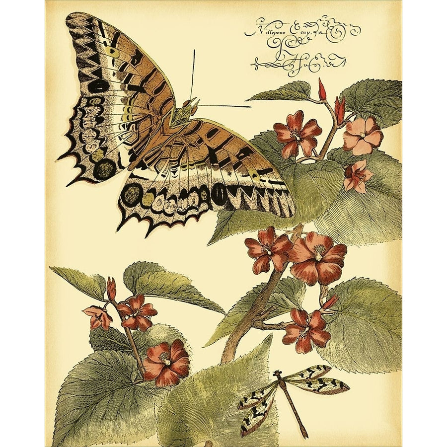 Mini Whimsical Butterflies II Poster Print - Studio Vision-VARPDX47957D Image 1