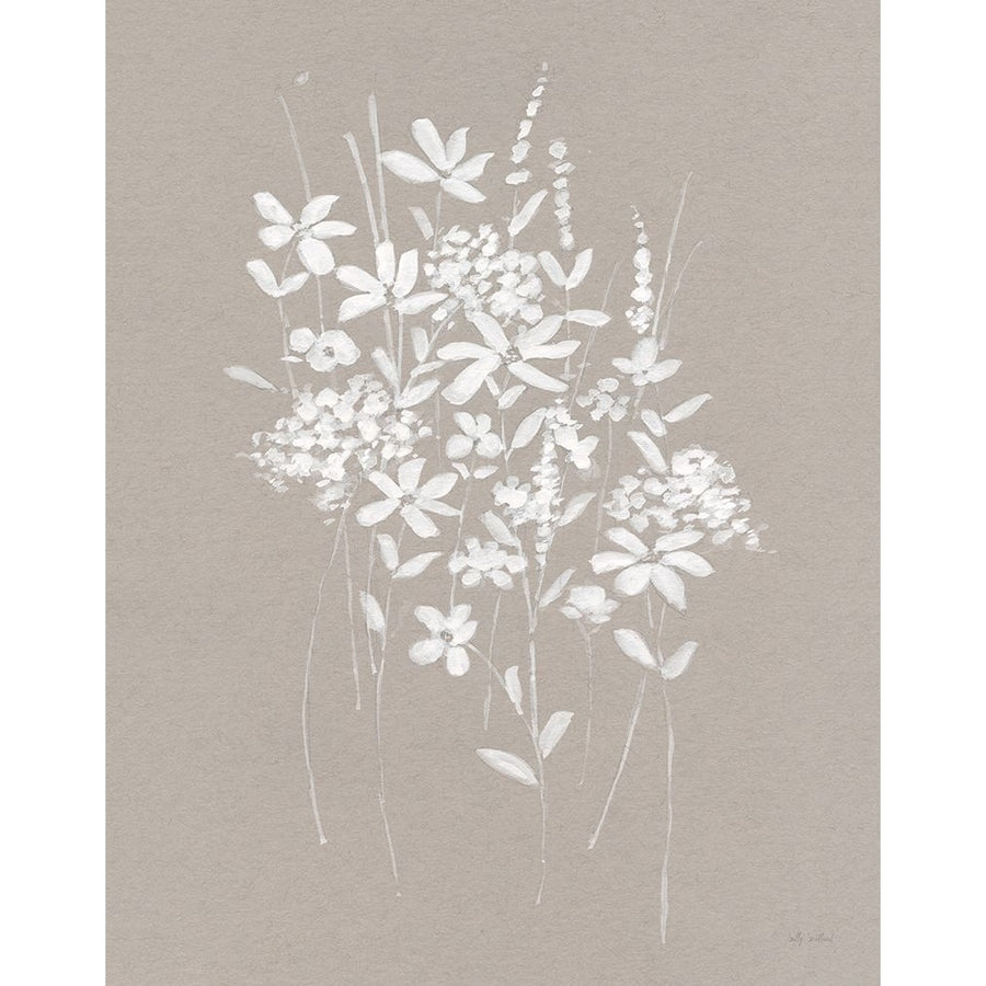 Delicate Botanicals I Poster Print - Sally Swatland-VARPDX47997 Image 1