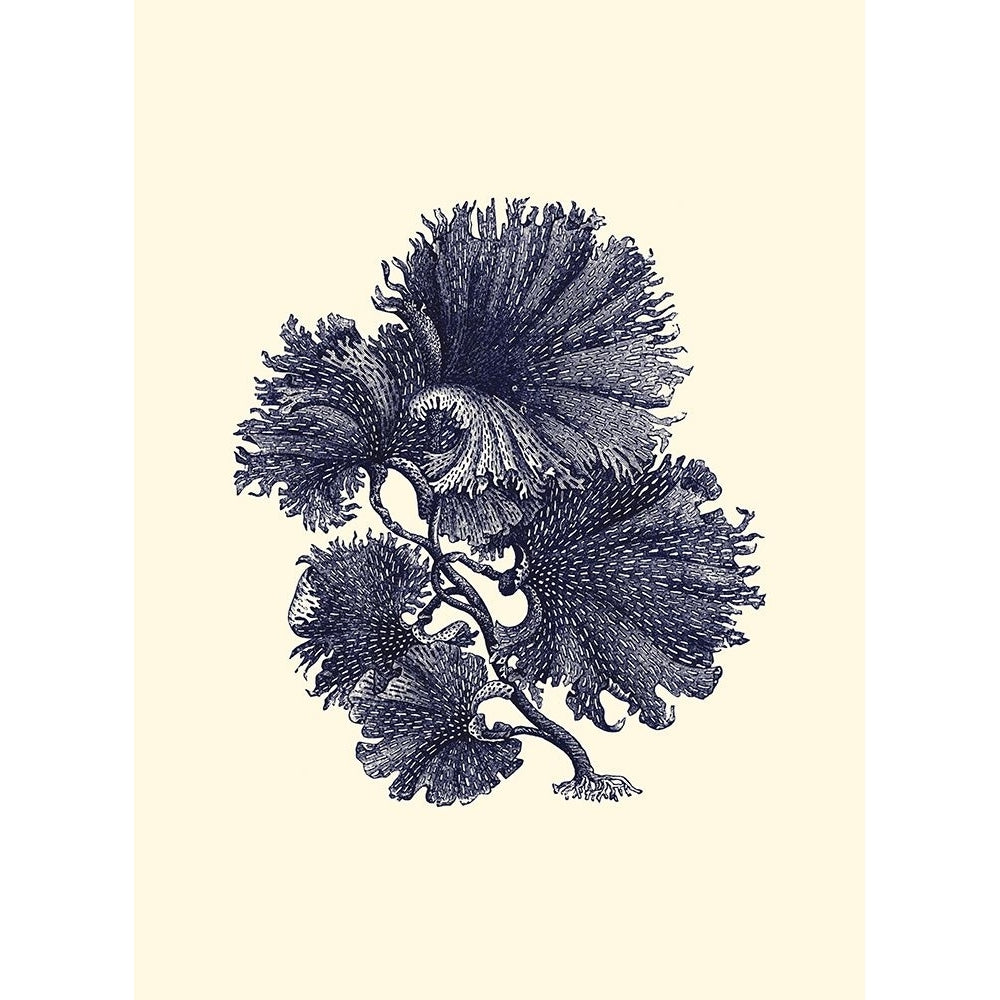 Indigo Kelp I Poster Print - Studio Vision-VARPDX48067D Image 1