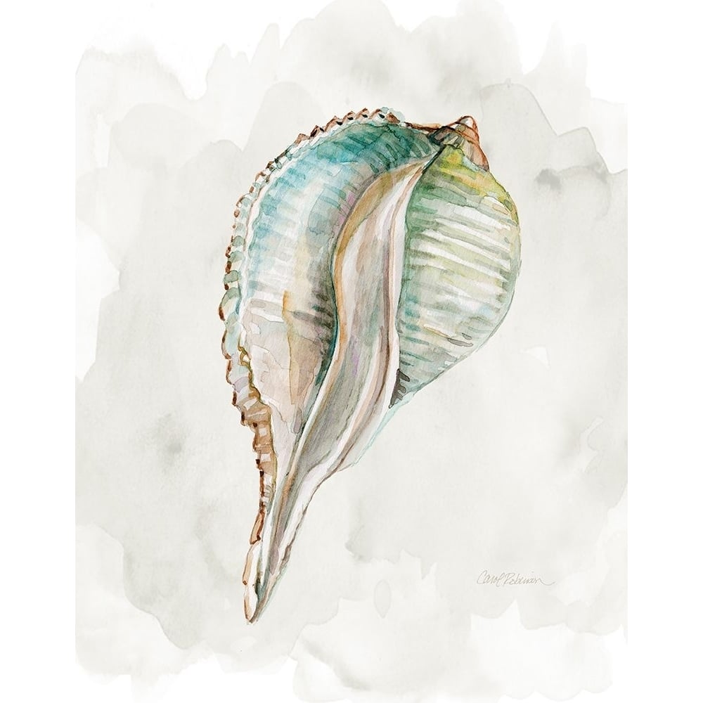 Pastel Shell I Poster Print - Carol Robinson-VARPDX48374 Image 1