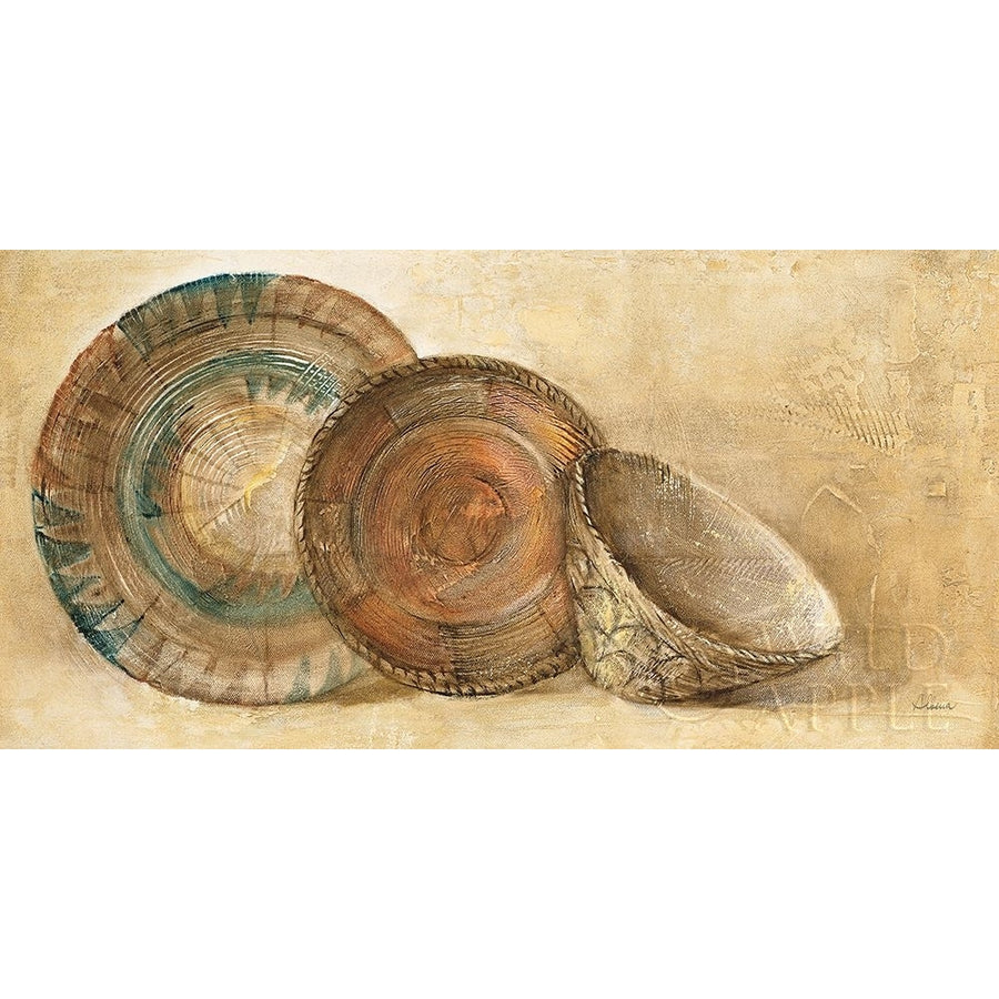 Woven Vessels I Crop Poster Print by Albena Hristova-VARPDX4837 Image 1