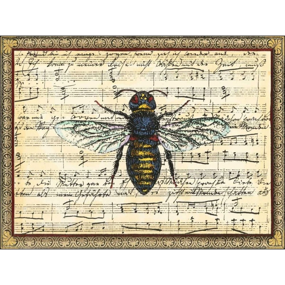 Bumblebee Harmony II Poster Print - Studio Vision-VARPDX48432D Image 1