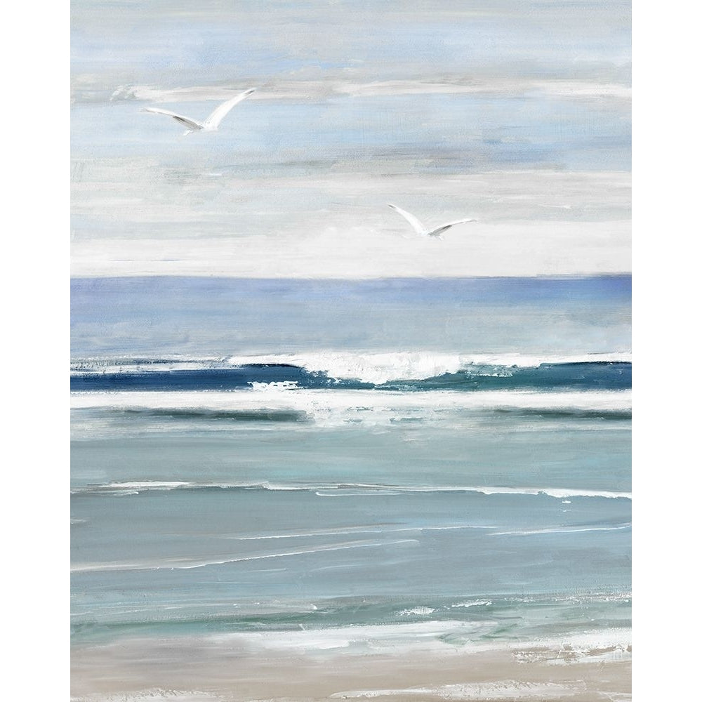 Seagull Bay II Poster Print - Sally Swatland-VARPDX48688 Image 1