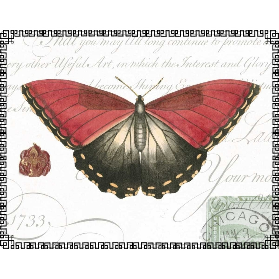 Butterfly Prose I Poster Print - Studio Vision-VARPDX48803D Image 1